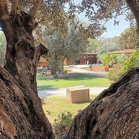 Entre Viejos Olivos Villa Benicolet Kültér fotó