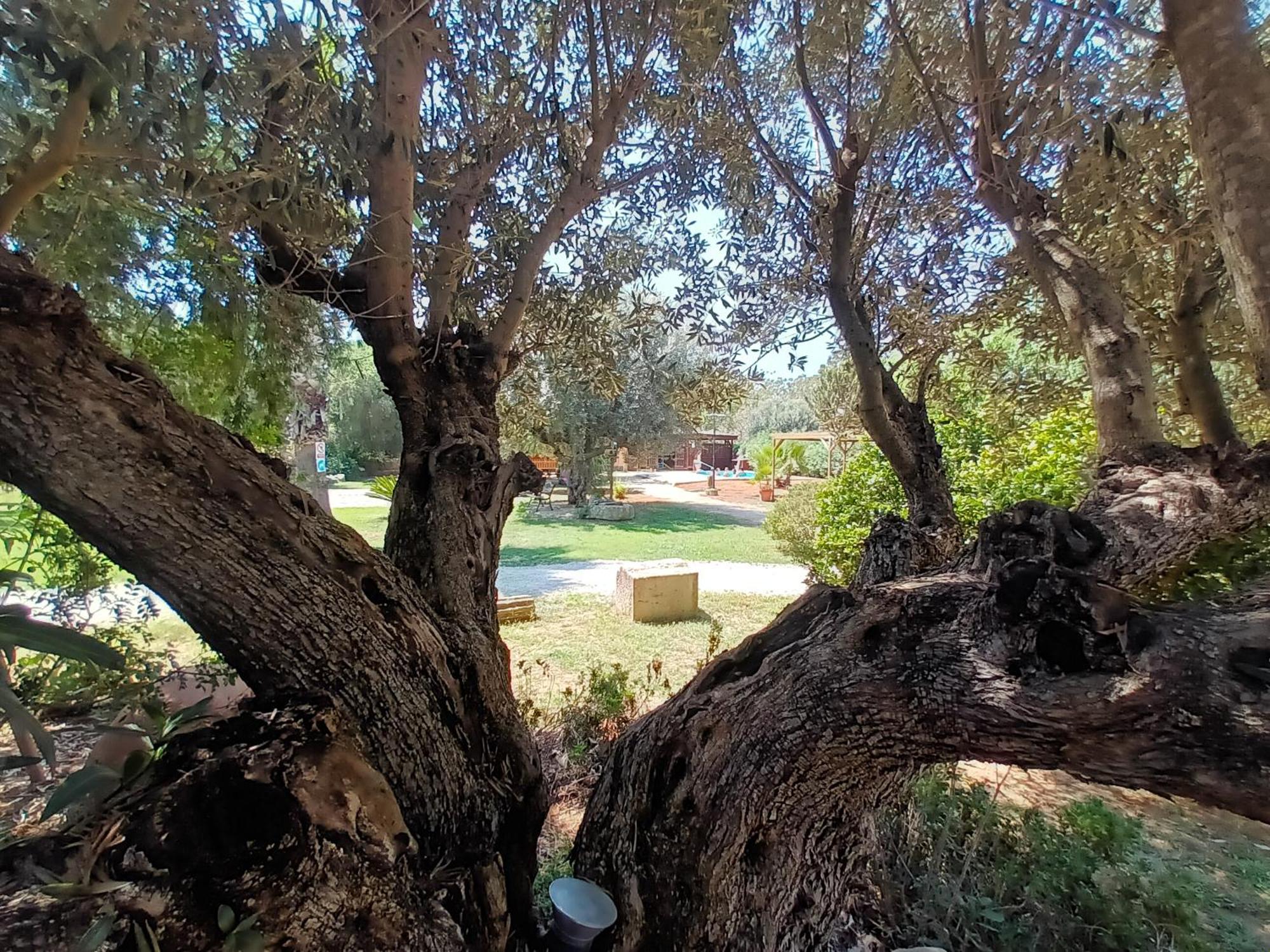 Entre Viejos Olivos Villa Benicolet Kültér fotó