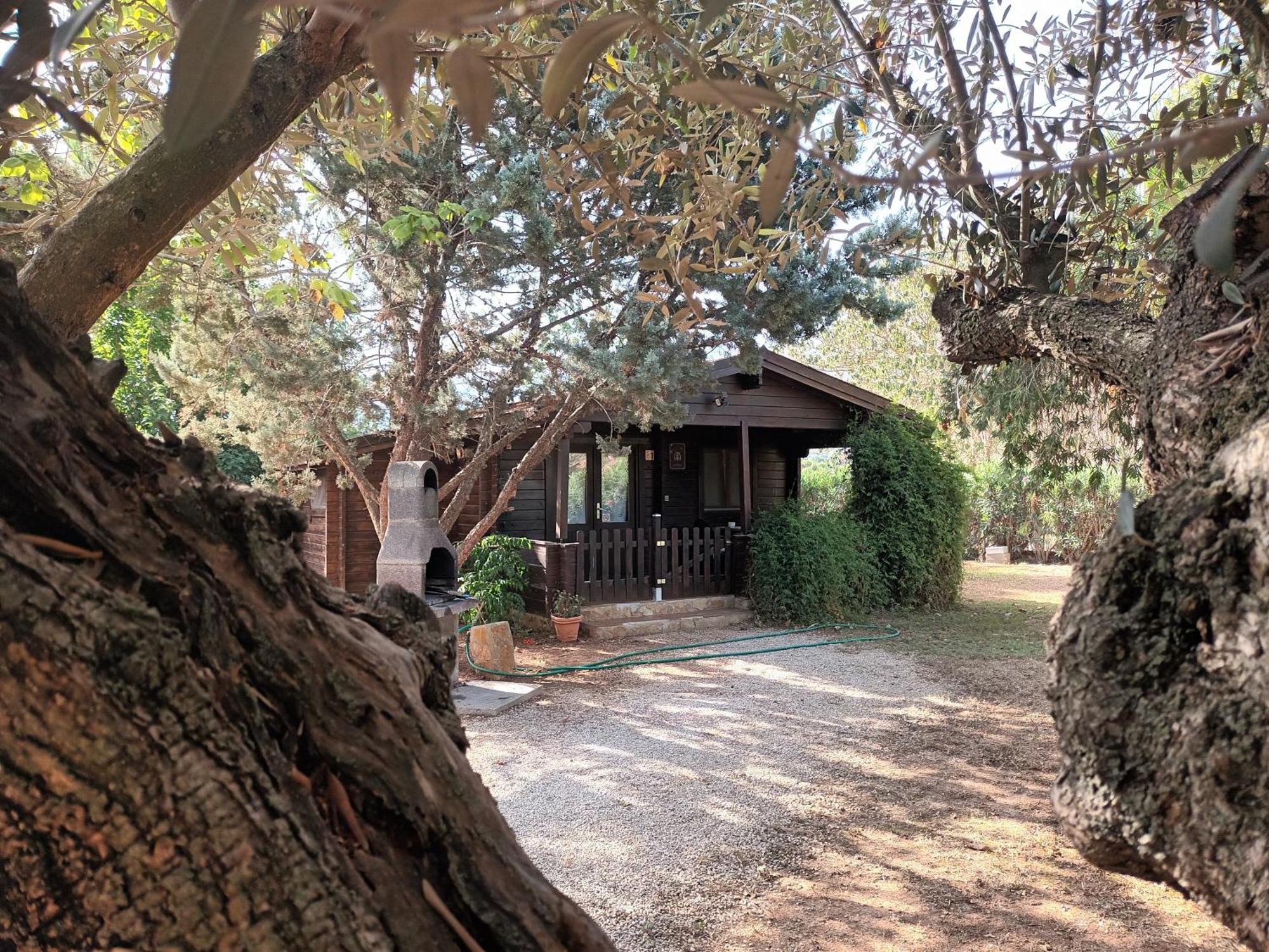 Entre Viejos Olivos Villa Benicolet Kültér fotó