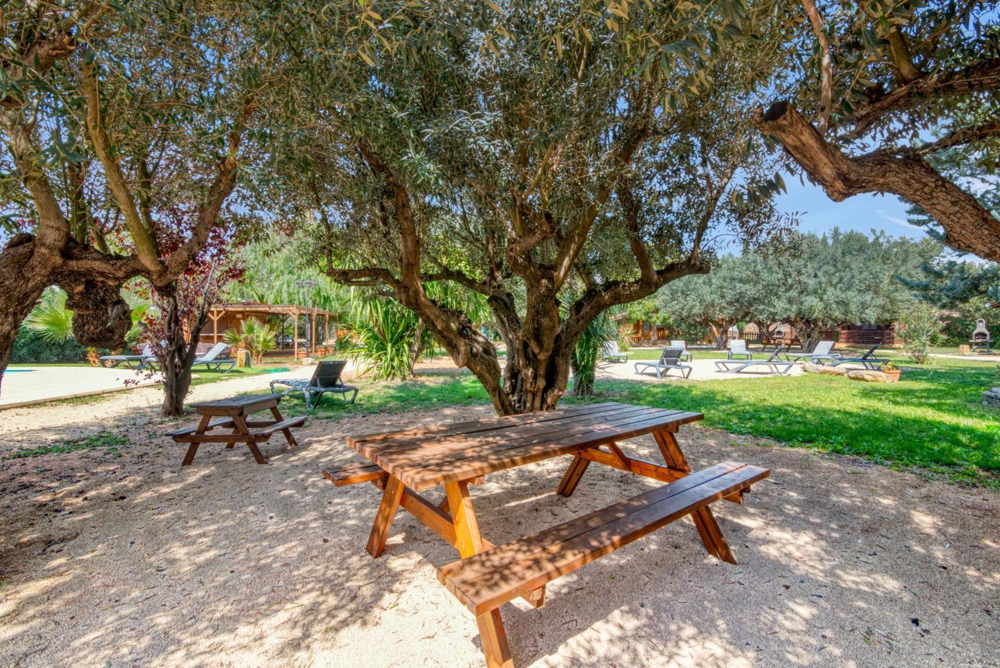 Entre Viejos Olivos Villa Benicolet Kültér fotó